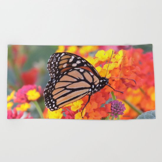 Monarch Feeding on Lantana Beach Towel