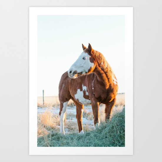 Pferd Art Print