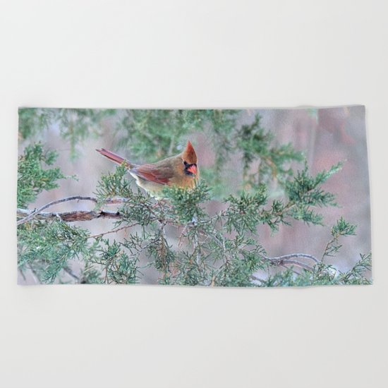 Pretty Female Cardinal Beach Towel