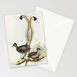 Lyre Bird (Menura superba) illustrated by Elizabeth Gould (1804–1841) for John Gould’s (1804-1881) B Stationery Card