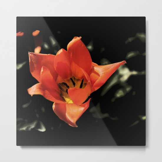 Secrets Metal Print