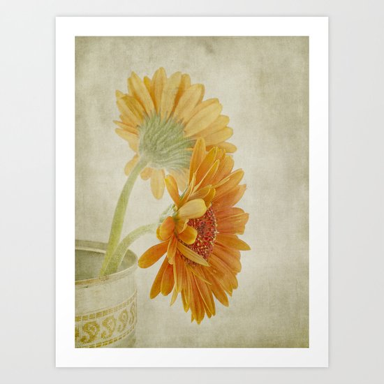 Gerbera Art Print
