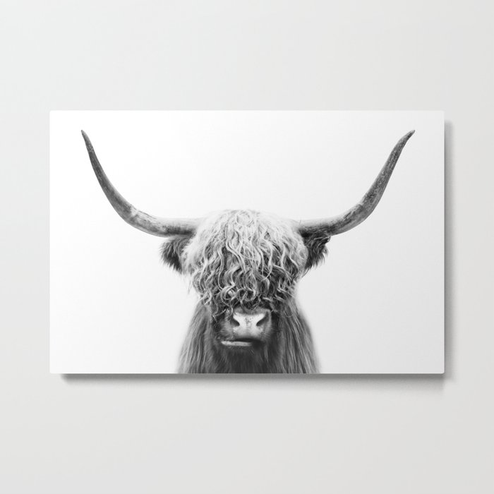 Scottish Highland Cow Metal Print