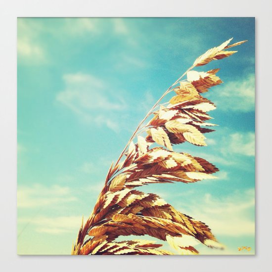 Burnished. Canvas Print