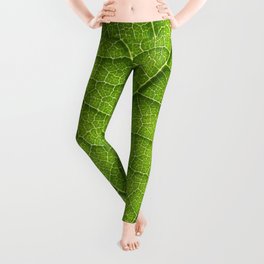 green leaf structure XII Leggings