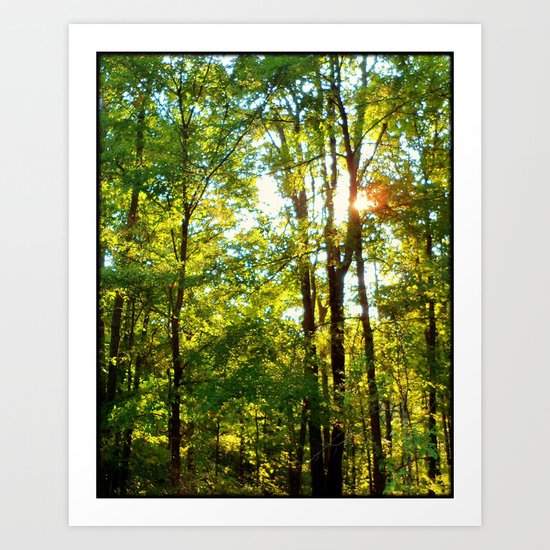 Fall Trees Art Print