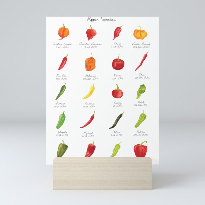 Watercolor Pepper Varieties Mini Art Print