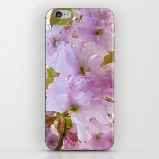 Cherry Blossom iPhone & iPod Skin