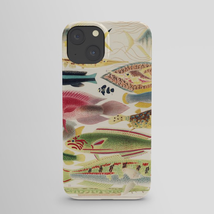 Vintage Fish of the Great Barrier Reef iPhone Case