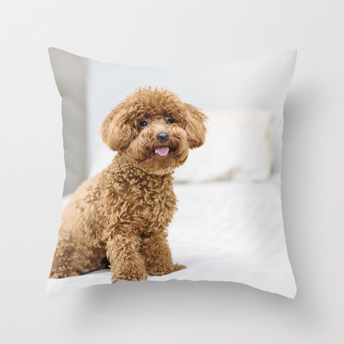 Isolated Cute Avatar Poodle Dog Breed 12 Throw Pillow