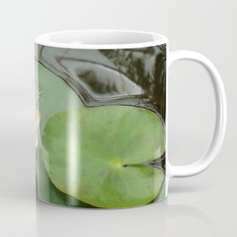 Water Lily Flower  Mug