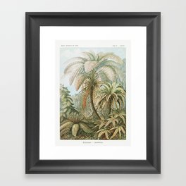 Florida tropical palmtrees  Framed Art Print