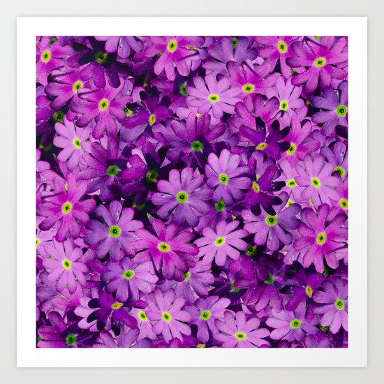 Purple Wild Flowers Art Print