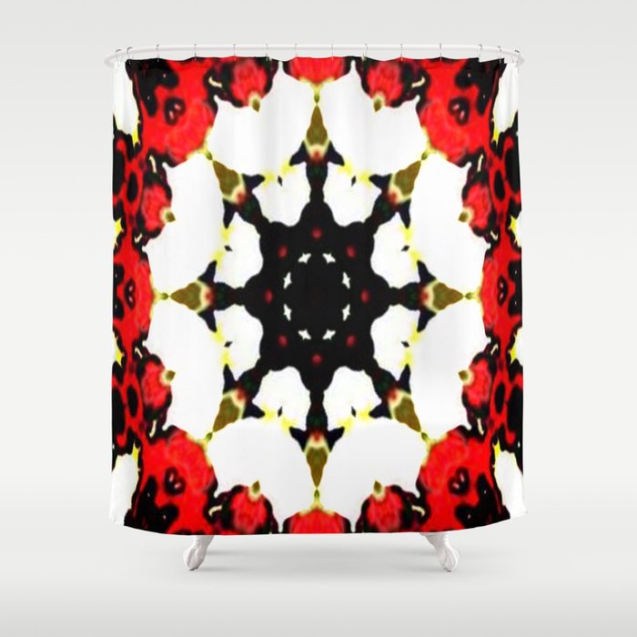Symmetry in Chaos Shower Curtain