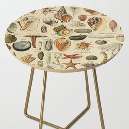 Mollusques by Adolphe Millot Side Table