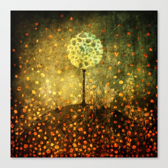 Abundance Canvas Print
