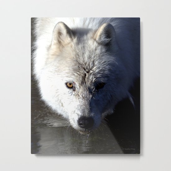 Quenched Metal Print