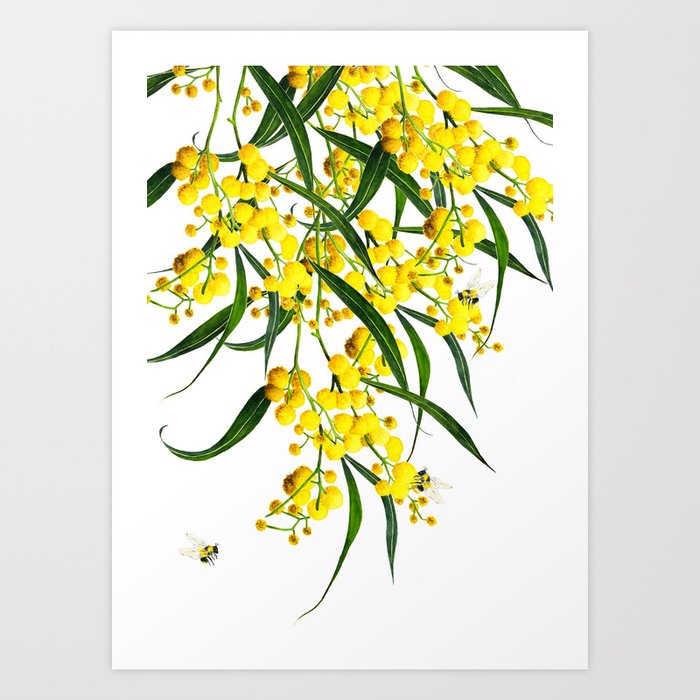 The Golden Wattle Vol.2 Art Print by Made on Sundays | Society6