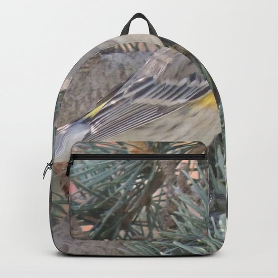 Audubon's Warbler on a Spruce Branch Backpack