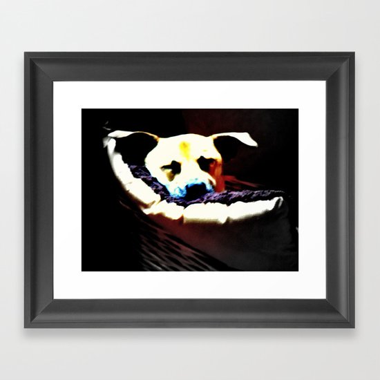 sleeping puppy stuck in basket Framed Art Print