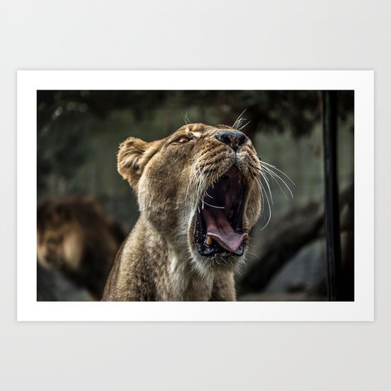 Lion king Art Print