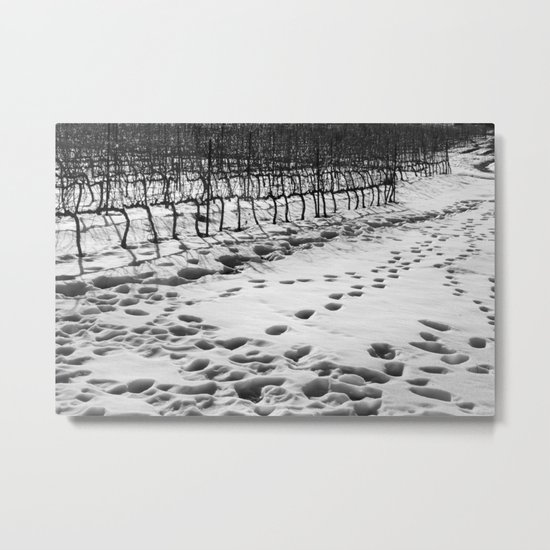 Snowy Vineyard Metal Print