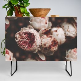 Flower Photography - Rose Print - Wild Roses - White Pink Flowers - Dramatic Floral  Credenza