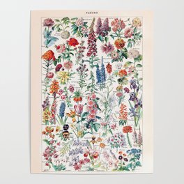Adolphe Millot - Fleurs pour tous - French vintage poster Poster
