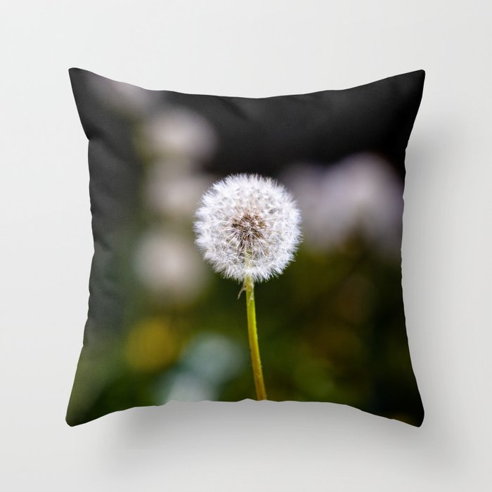 Perfection - Portrait of a Perfect Dandelion on Spring Day in Oklahoma Throw Pillow