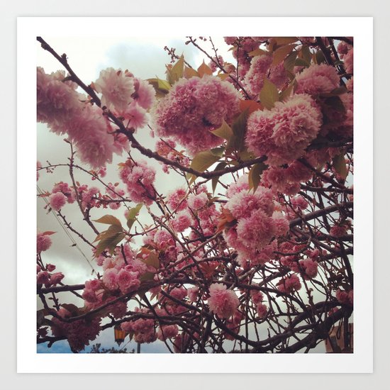 Cloudy pink Art Print
