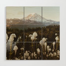 Mount Rainier NP Wood Wall Art