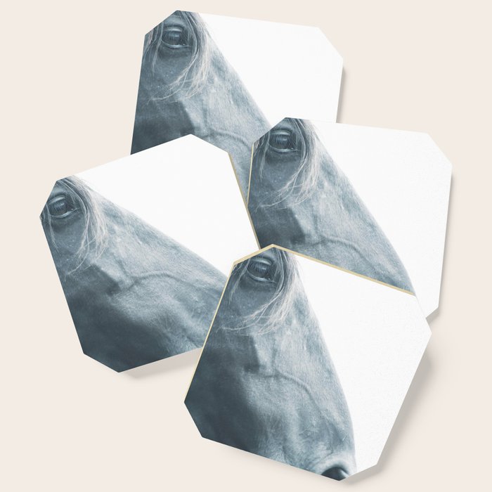 Horse Head Fine Art Print N 2 Nature Love Animal Lovers Wall Decoration Interior Design Home Coaster By Stefanoreves