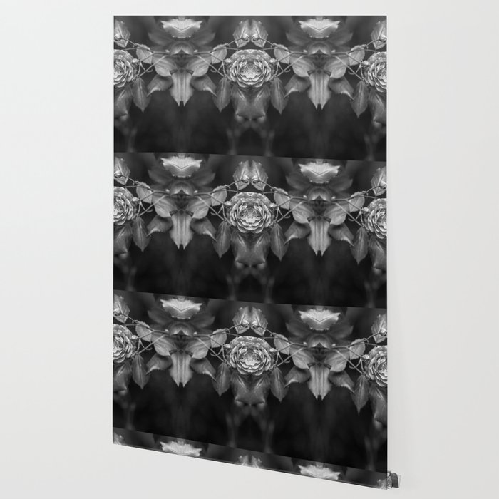 Mirroring Black And White Roses Monochrome Flowers Wallpaper By
