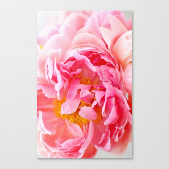 Peonies Forever II Canvas Print