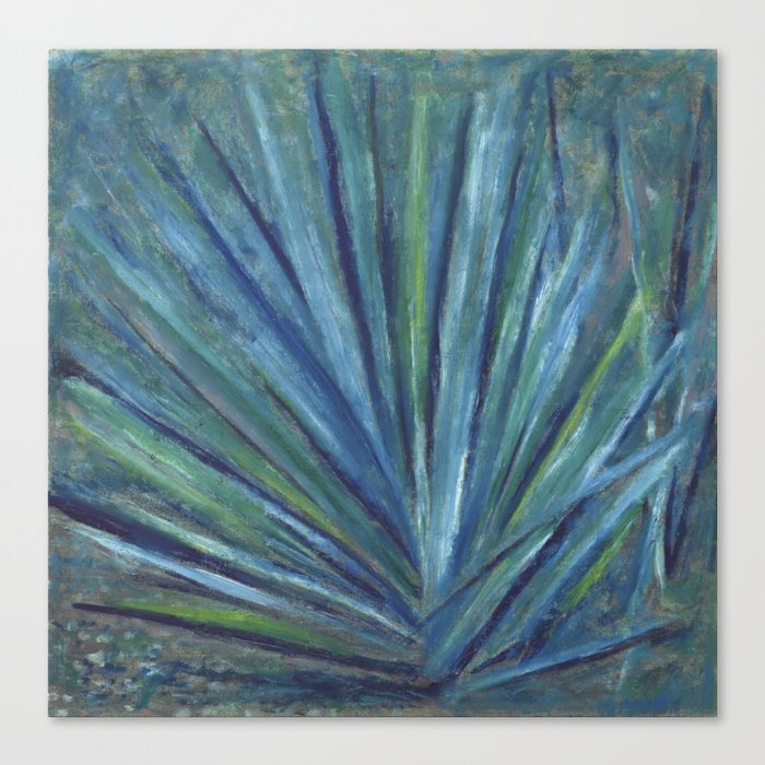 Yucca Canvas Print