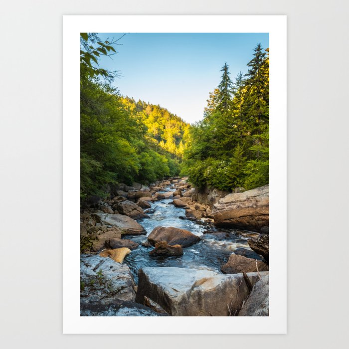 Blackwater Falls State Park West Virginia River Canyon Landscape Photography Art Print