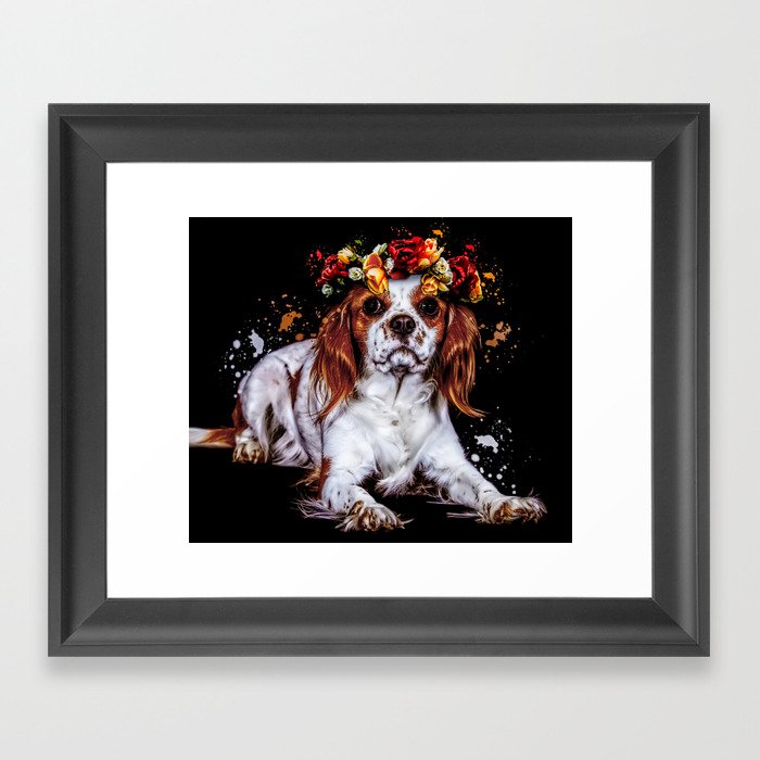 cavalier king Charles spaniel with flower Framed Art Print