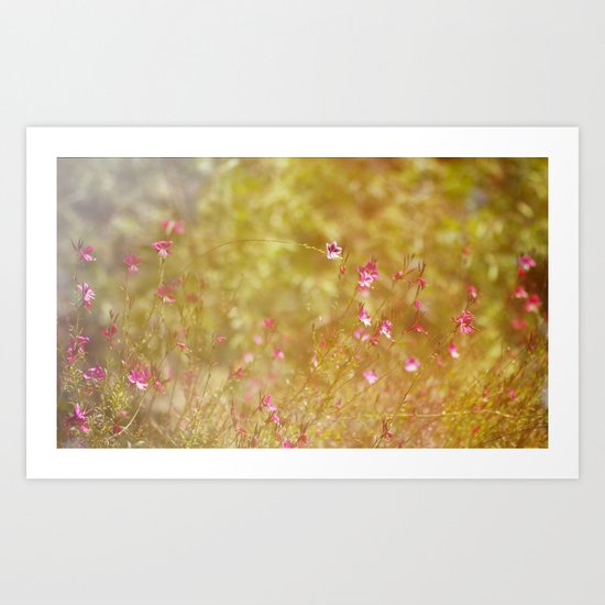 Summer Garden Art Print