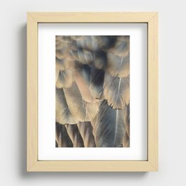 Turkey Vulture Feathers 2 Recessed Framed Print