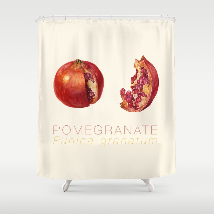 Pomegranate, Punica granatum Shower Curtain