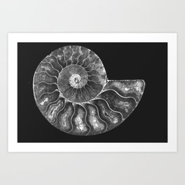 B&W Ammonite Art Print