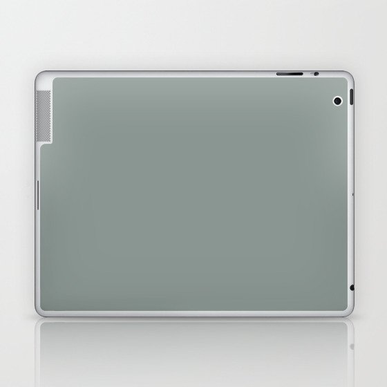 SLATE GRAY SOLID COLOR Laptop & iPad Skin