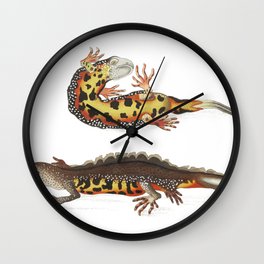Warted Newt, Warty lizard, Black and Orange Water Newt or Greater Water Newt Wall Clock