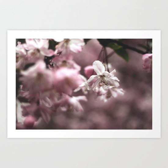 Blossom Art Print