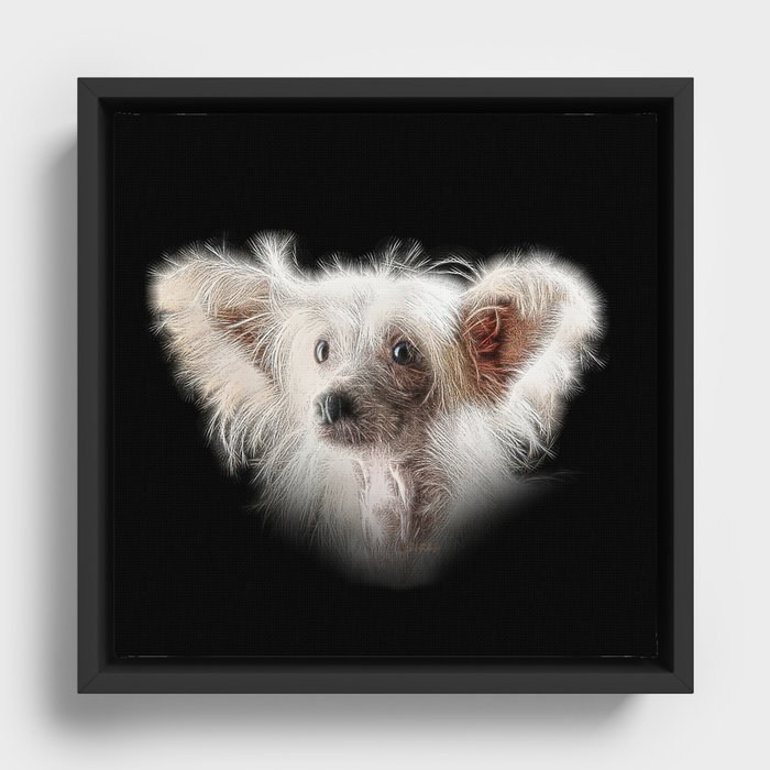Spiked Chinese Crested Dog Framed Canvas