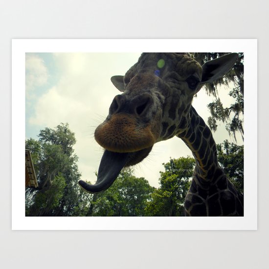 Giraffes are Silly. Art Print