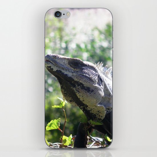 Soakin' up the Sun iPhone & iPod Skin