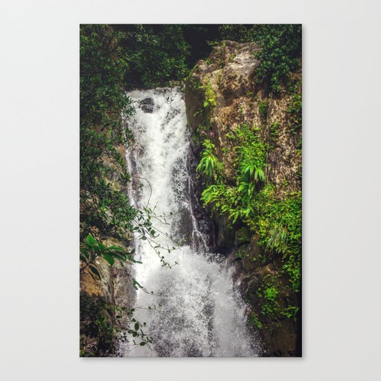 Rainforest Waterfall Canvas Print