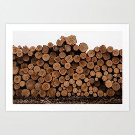 Minnesota Logs  Art Print