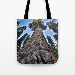 Redwood big II portrait size; redwoods of California; John Muir woods giant trees nature landscape color photograph / photography Tote Bag